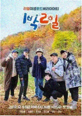 琪琪影视蒙面唱将