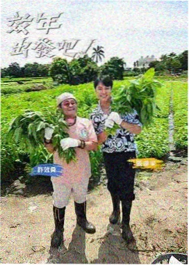 琪琪影视脱口秀大会